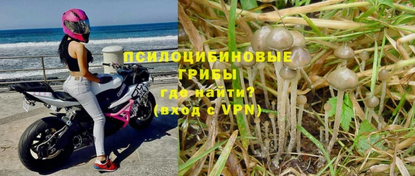 стафф Балахна