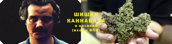 крисы Балабаново