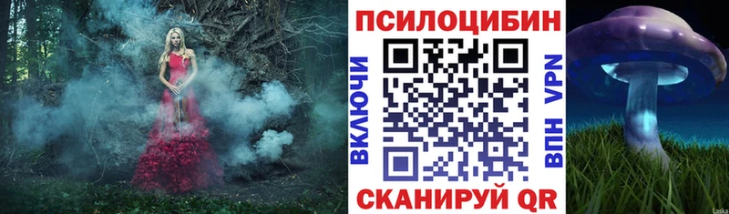 Псилоцибиновые грибы мицелий Зима