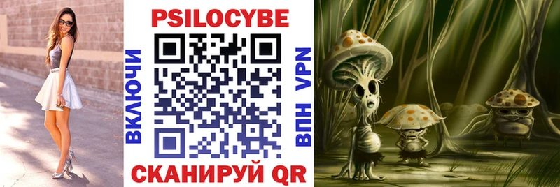 Псилоцибиновые грибы Psilocybe  Зима 
